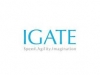 igate