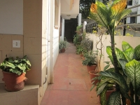 Greenary Entrance