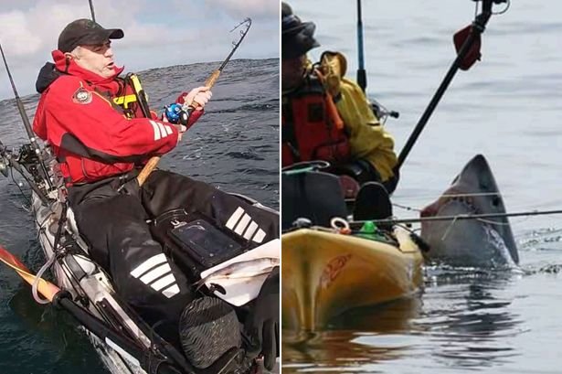 Best shark admiral in United Kingdom